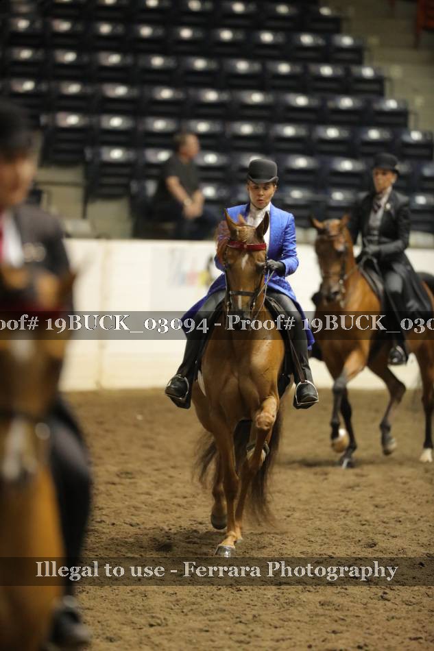 Proof 19BUCK_03094