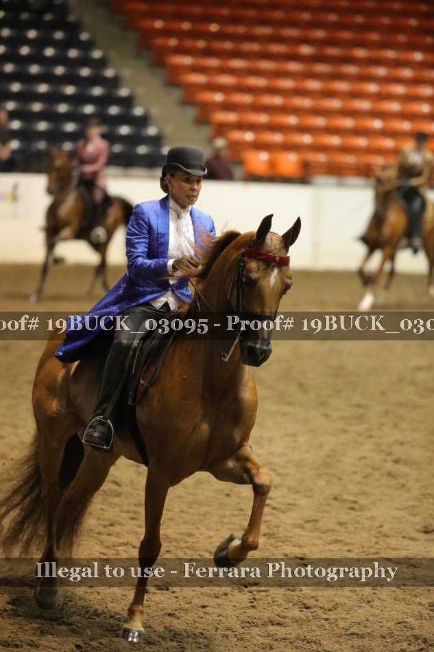 Proof 19BUCK_03095