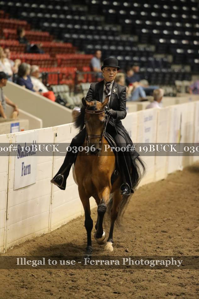 Proof 19BUCK_03096