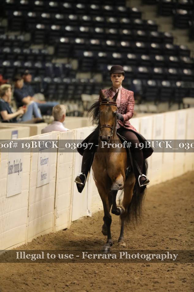 Proof 19BUCK_03097