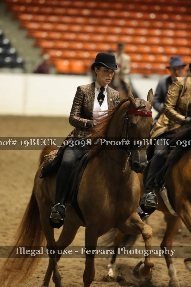 Proof 19BUCK_03098