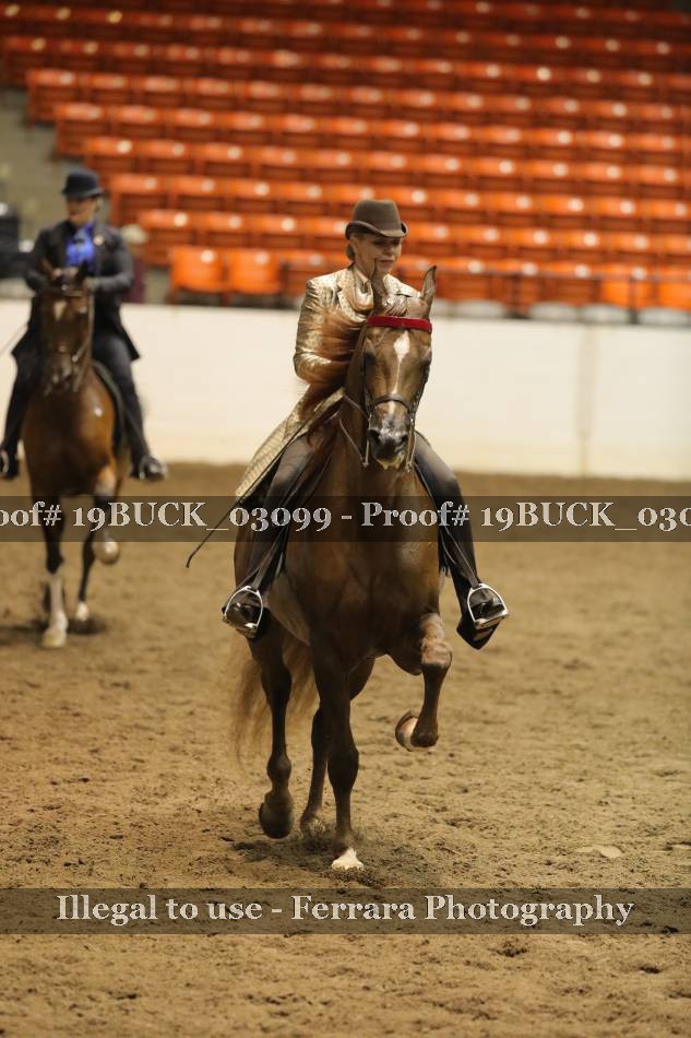 Proof 19BUCK_03099