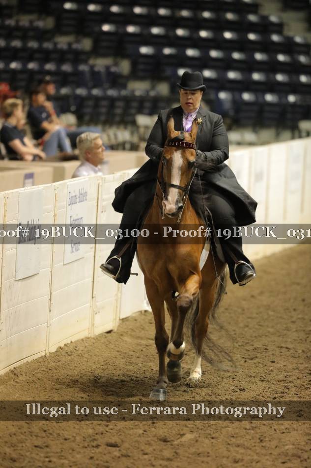 Proof 19BUCK_03100