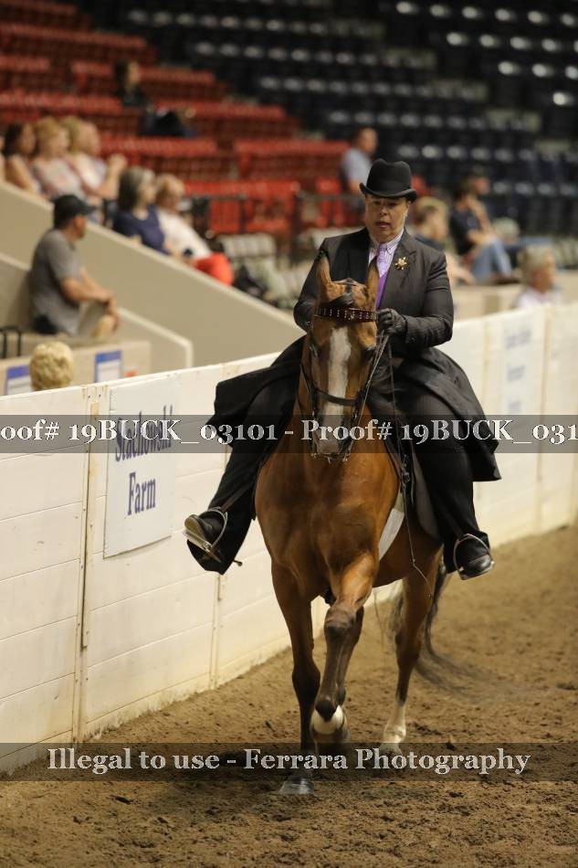 Proof 19BUCK_03101