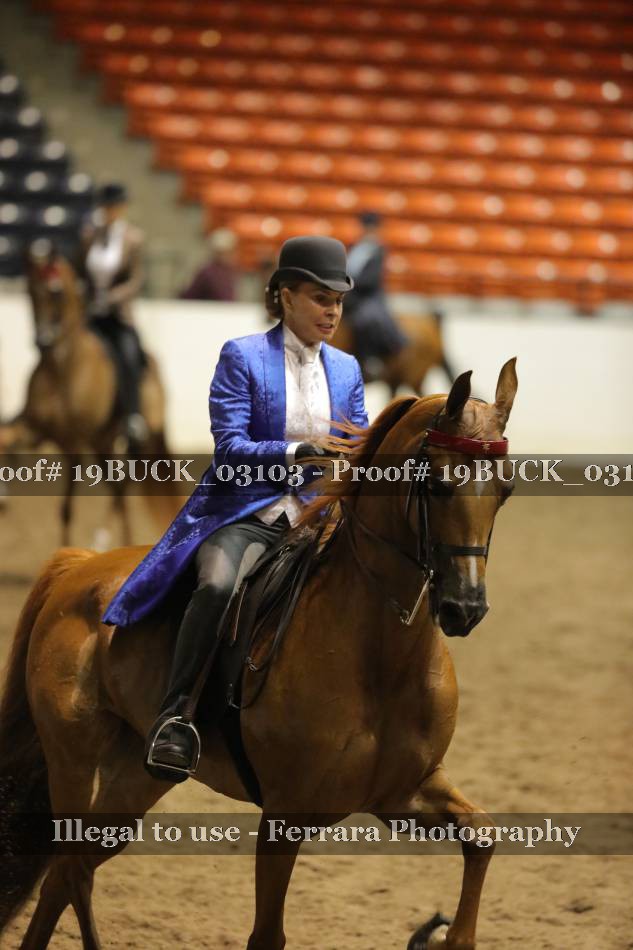 Proof 19BUCK_03103