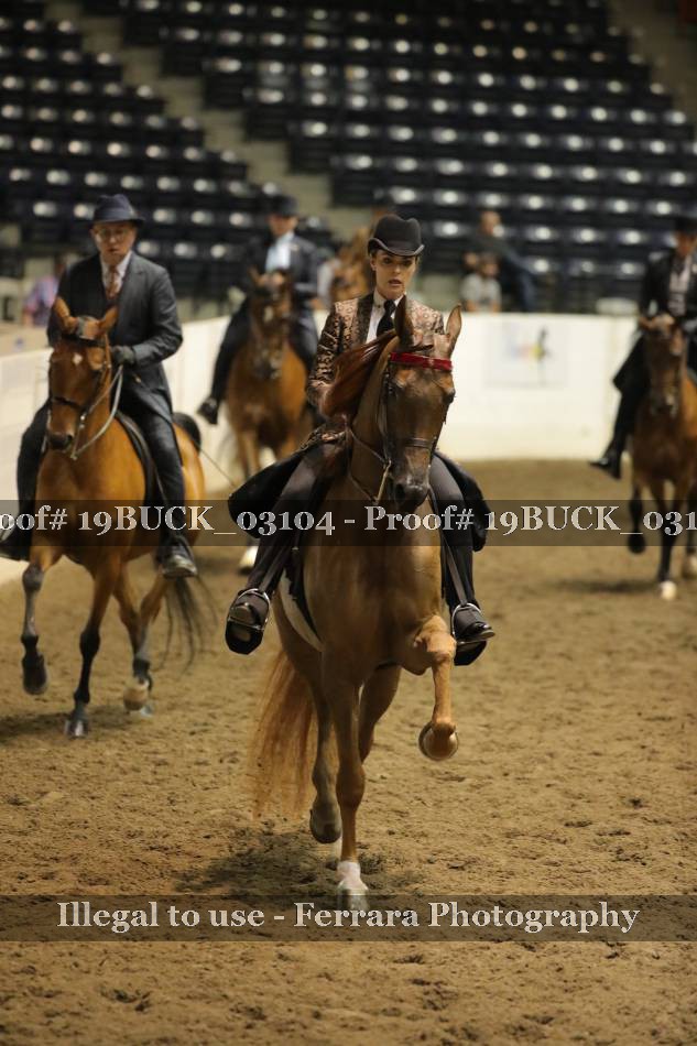Proof 19BUCK_03104