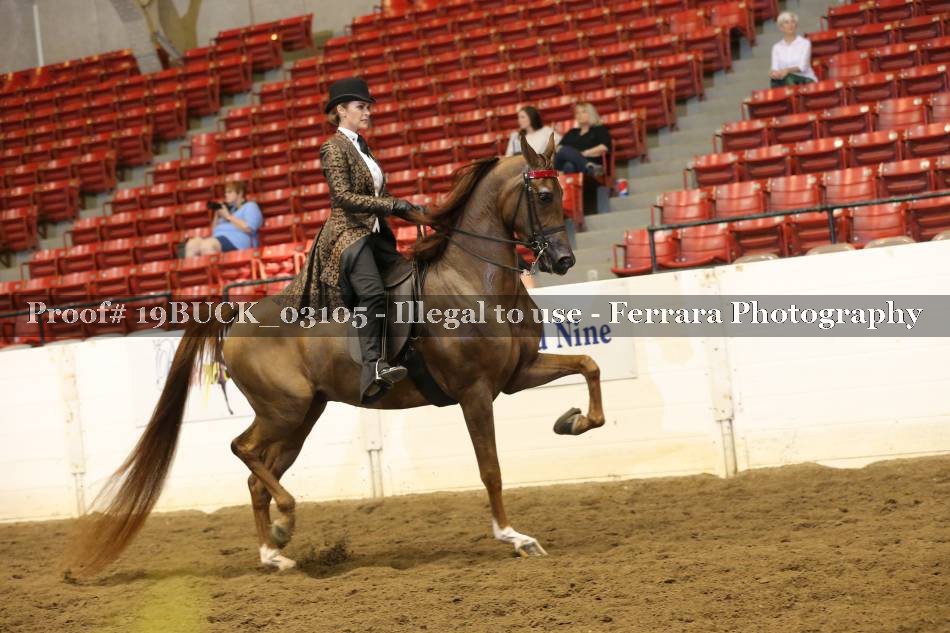 Proof 19BUCK_03105