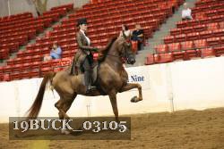 19BUCK_03105 proof