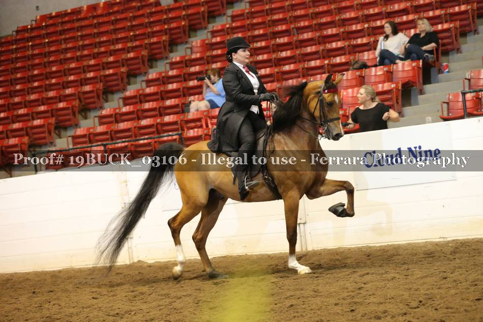 Proof 19BUCK_03106