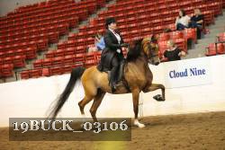 19BUCK_03106 proof