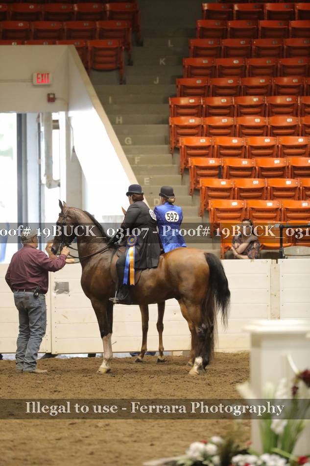 Proof 19BUCK_03107