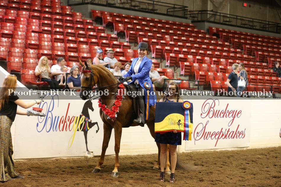 Proof 19BUCK_03108