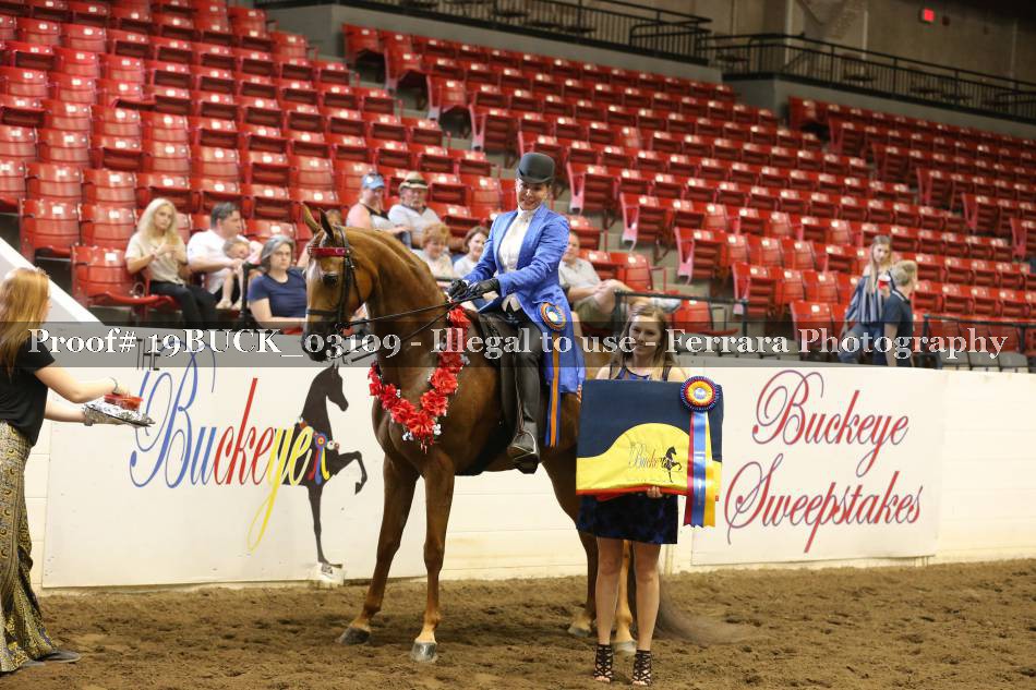 Proof 19BUCK_03109