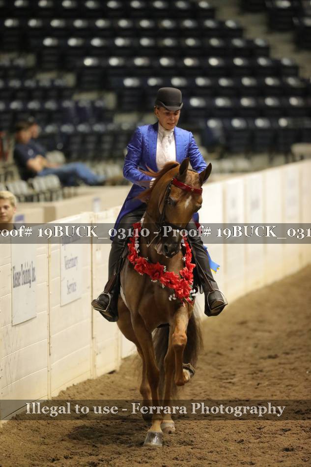 Proof 19BUCK_03110
