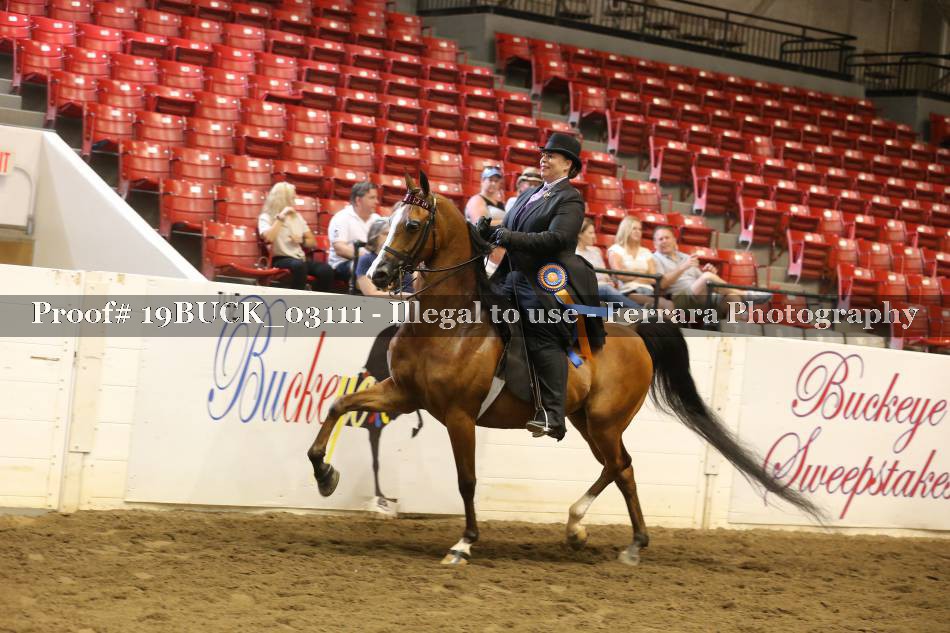 Proof 19BUCK_03111