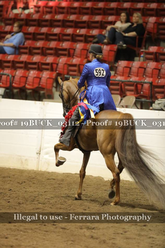 Proof 19BUCK_03112