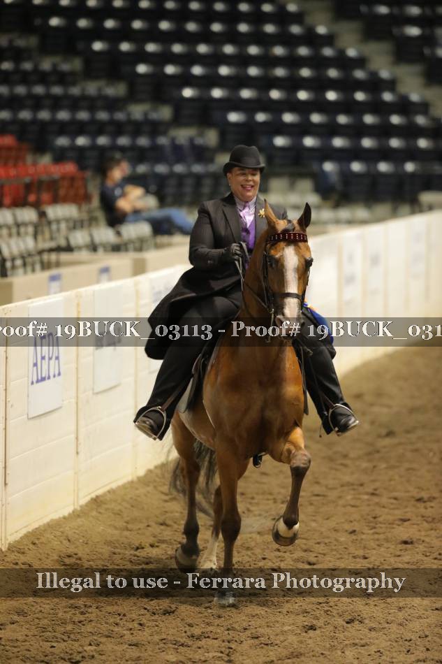 Proof 19BUCK_03113