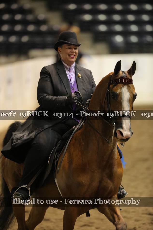 Proof 19BUCK_03114