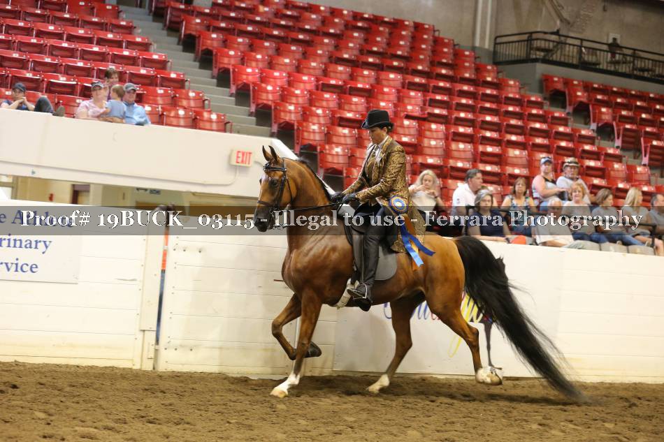 Proof 19BUCK_03115