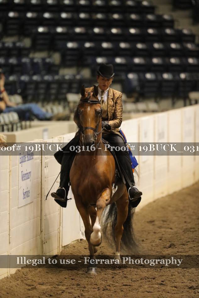Proof 19BUCK_03116