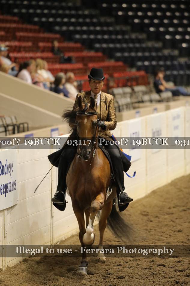Proof 19BUCK_03117