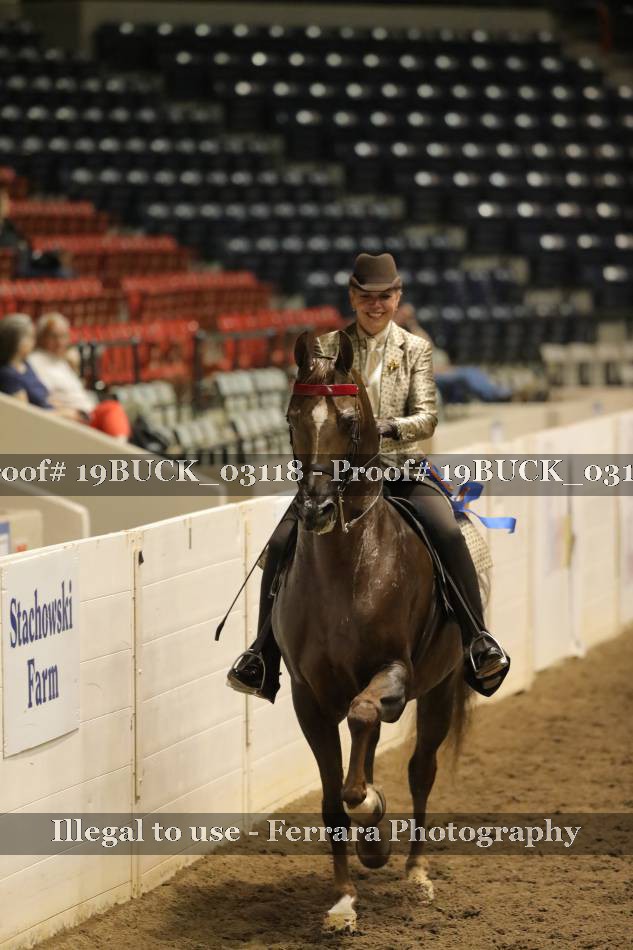 Proof 19BUCK_03118