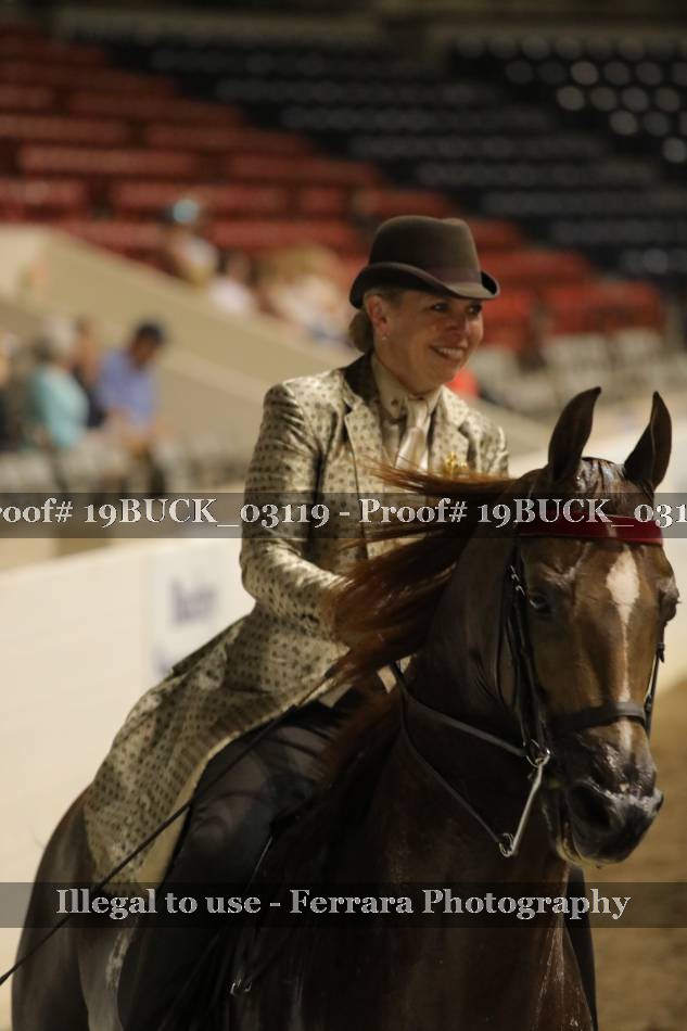 Proof 19BUCK_03119