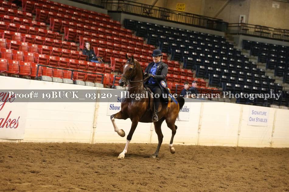 Proof 19BUCK_03120
