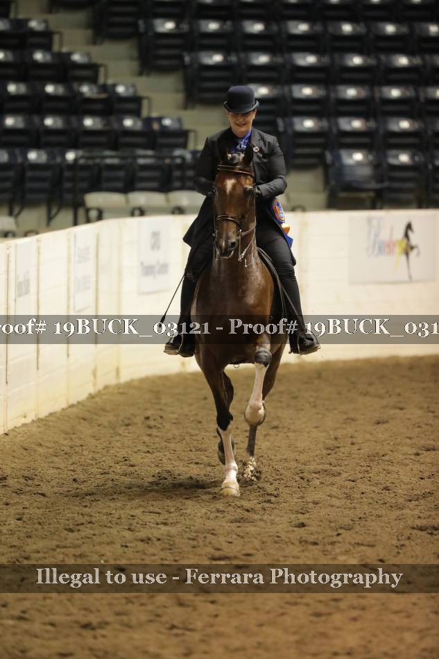Proof 19BUCK_03121