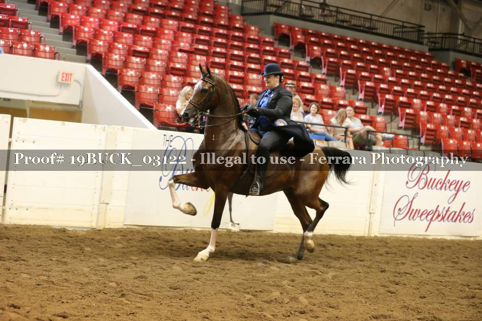 Proof 19BUCK_03122