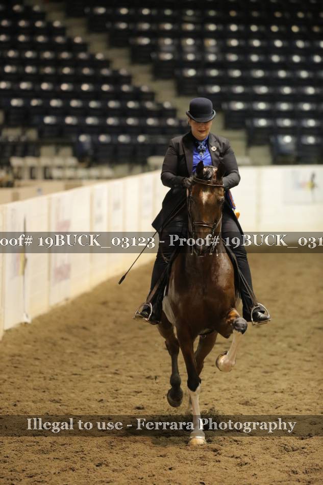 Proof 19BUCK_03123