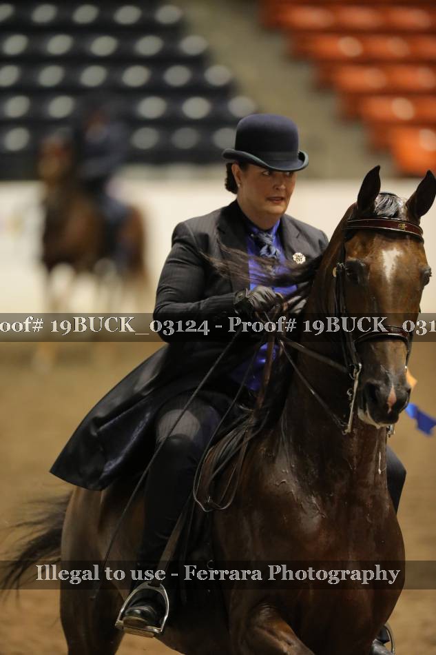 Proof 19BUCK_03124