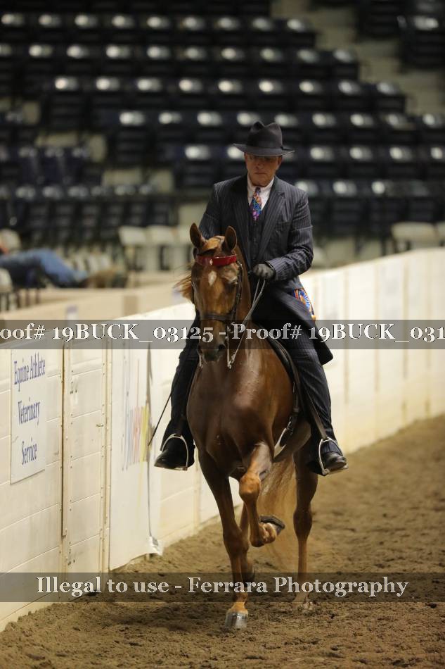 Proof 19BUCK_03125