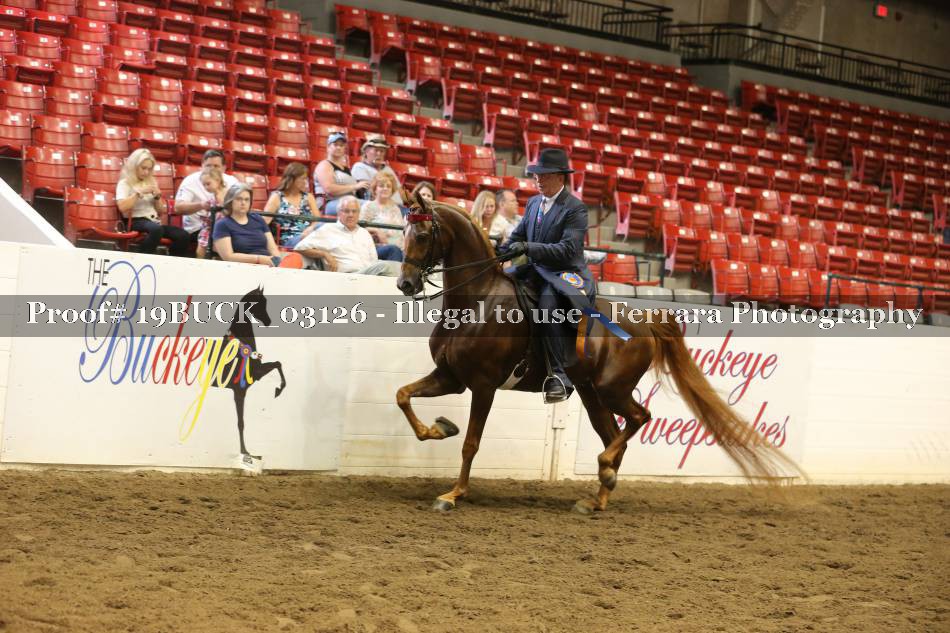 Proof 19BUCK_03126