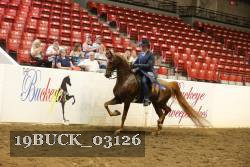 19BUCK_03126 proof
