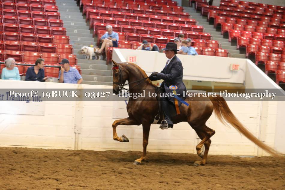 Proof 19BUCK_03127
