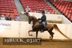 19BUCK_03127 proof
