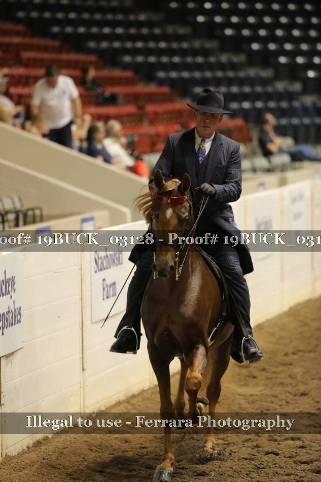 Proof 19BUCK_03128
