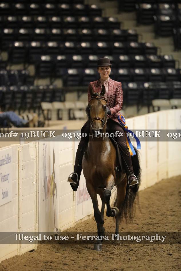 Proof 19BUCK_03130