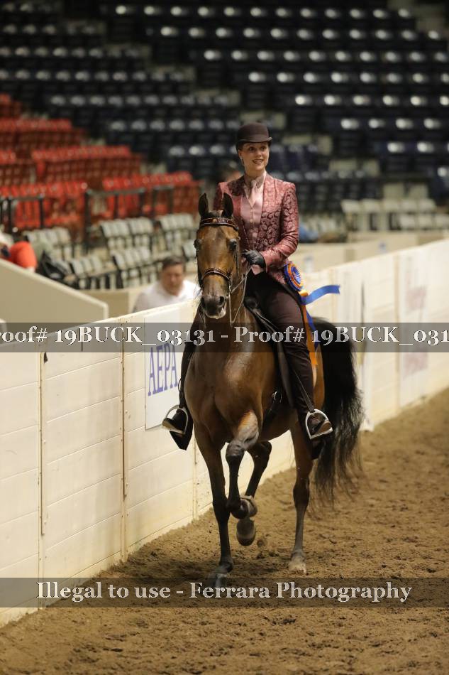 Proof 19BUCK_03131