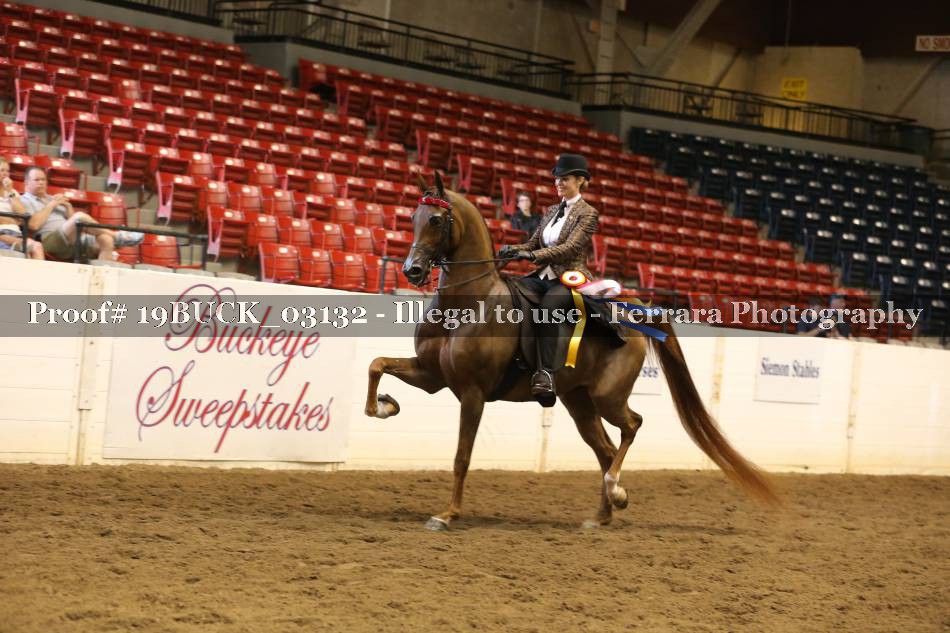 Proof 19BUCK_03132