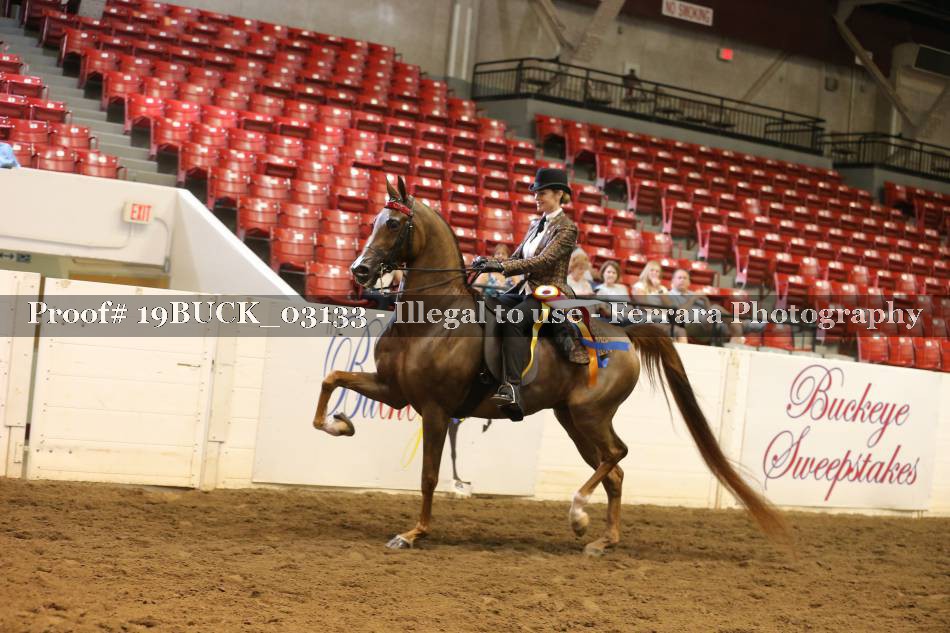 Proof 19BUCK_03133