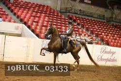 19BUCK_03133 proof