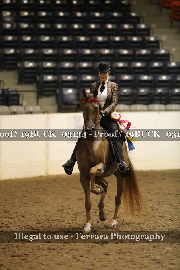 Proof 19BUCK_03134