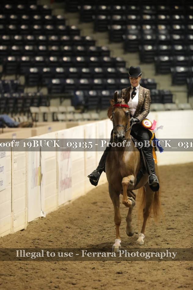 Proof 19BUCK_03135