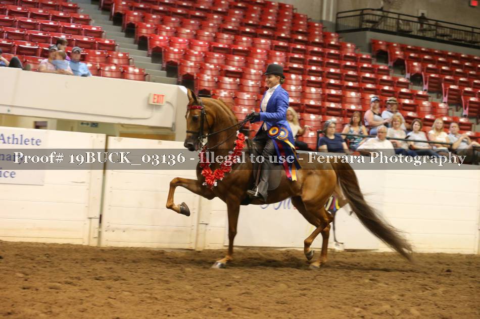 Proof 19BUCK_03136