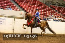 19BUCK_03136 proof