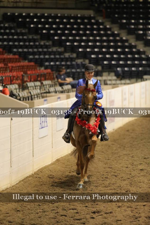 Proof 19BUCK_03138