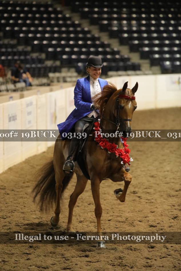 Proof 19BUCK_03139