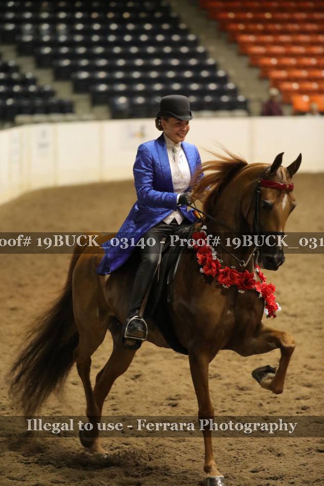 Proof 19BUCK_03140